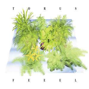 torus feeel