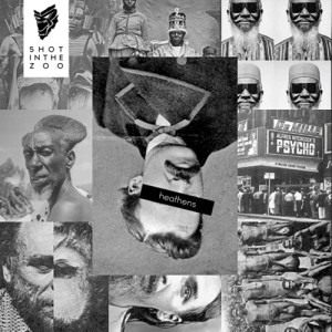 shotinthezoo